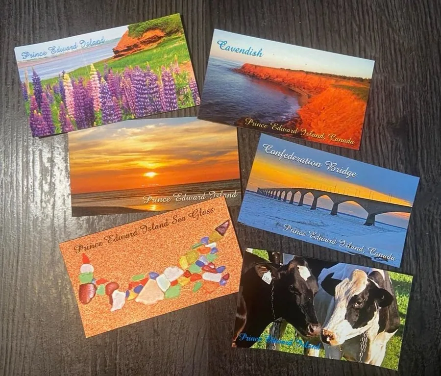 PEI photography magnets fanned out: lupins, sunsets, Confederation Bridge and a cow